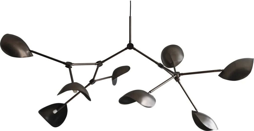 Stingray takkrone 150 x 200 cm Bronze