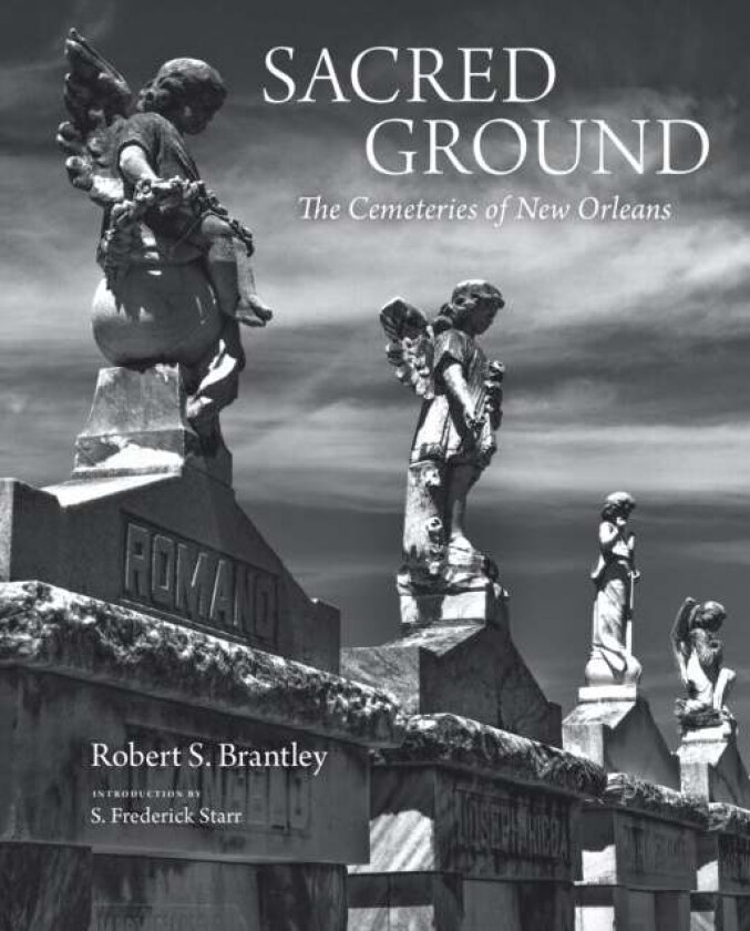 Sacred Ground av Robert S. Brantley