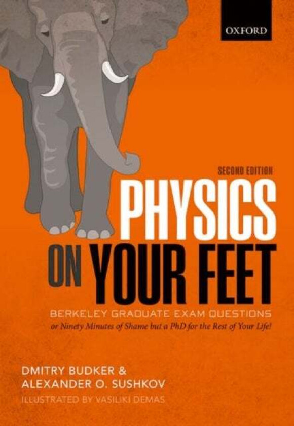 Physics on Your Feet av Dmitry (Professor of Physics Professor of Physics Johannes Gutenberg University Mainz and University of California Berkeley) B