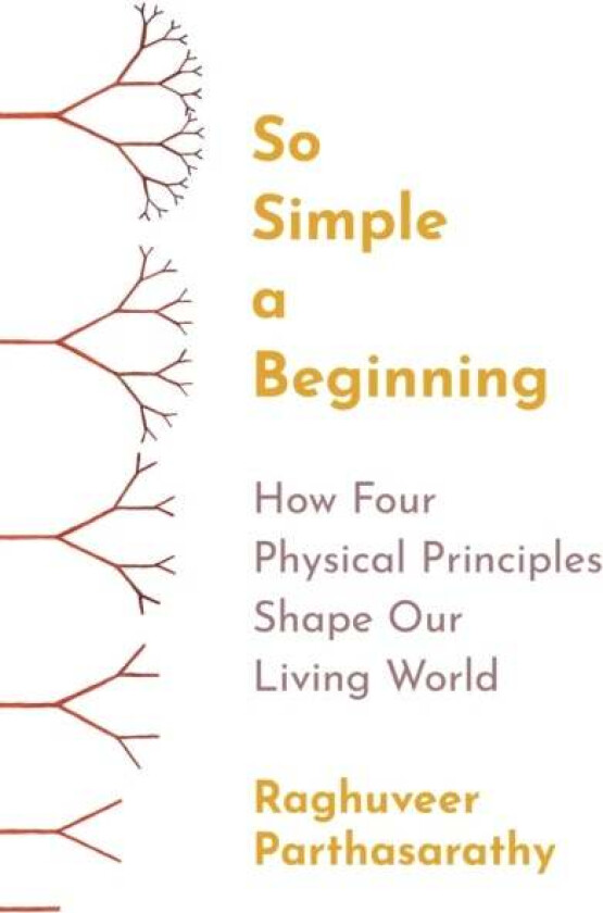 So Simple a Beginning av Raghuveer Parthasarathy
