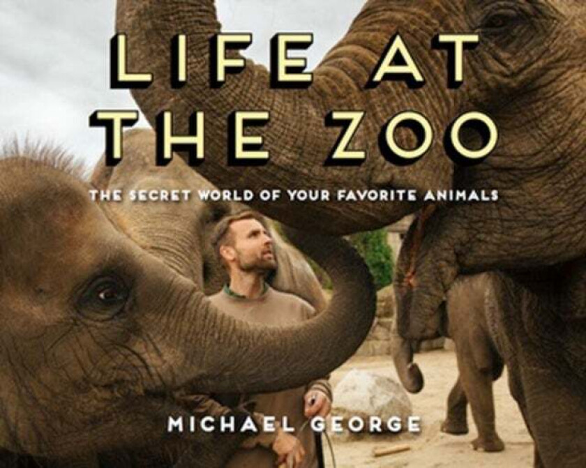 Life at the Zoo av Michael George