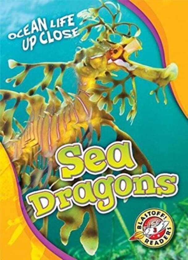 Sea Dragons av Heather Adamson