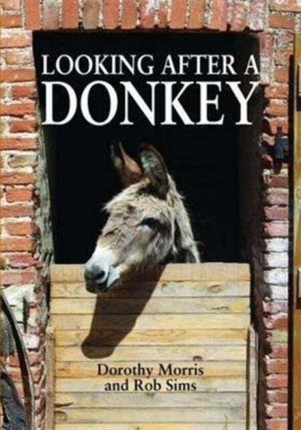 Looking After a Donkey av Dorothy Morris, Rob Sims