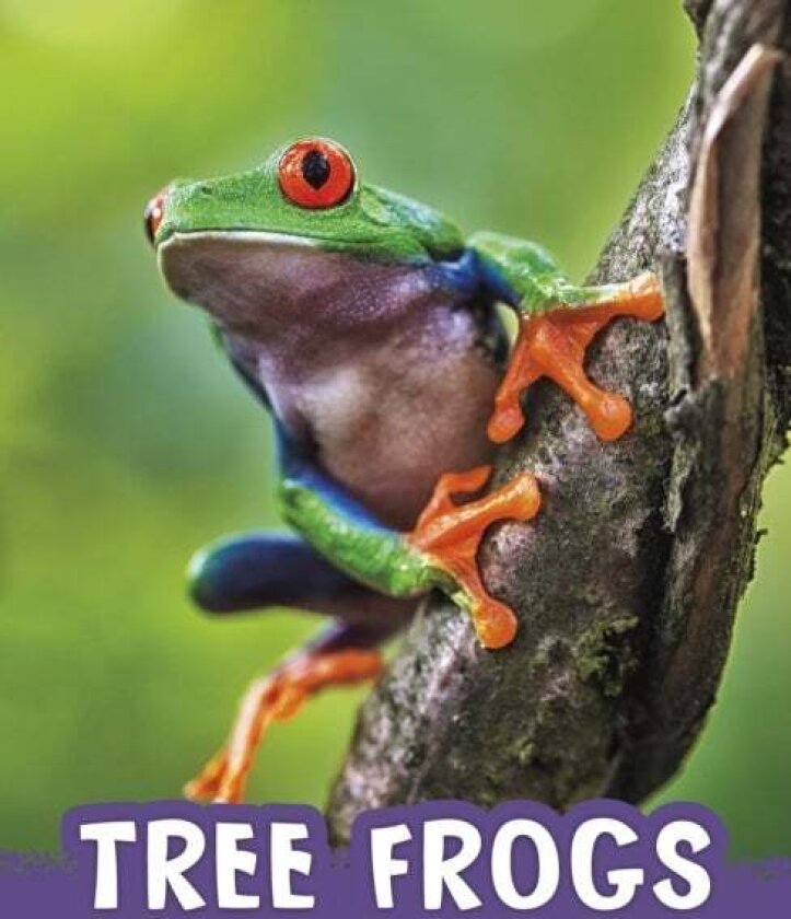 Tree Frogs av Jaclyn Jaycox