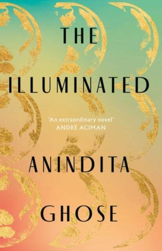 The Illuminated av Anindita Ghose