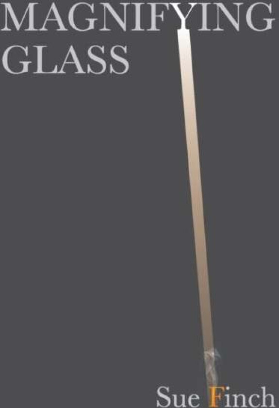 Magnifying Glass av Sue Finch