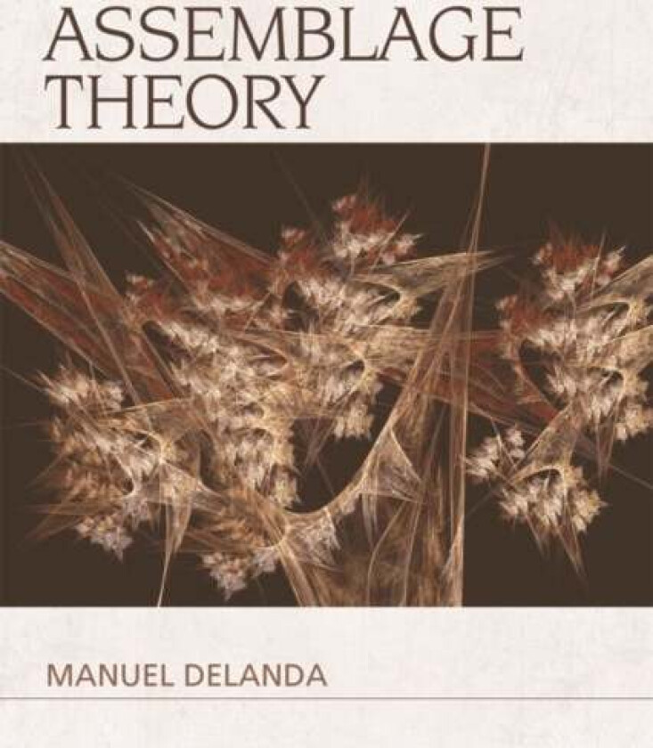 Assemblage Theory av Manuel DeLanda