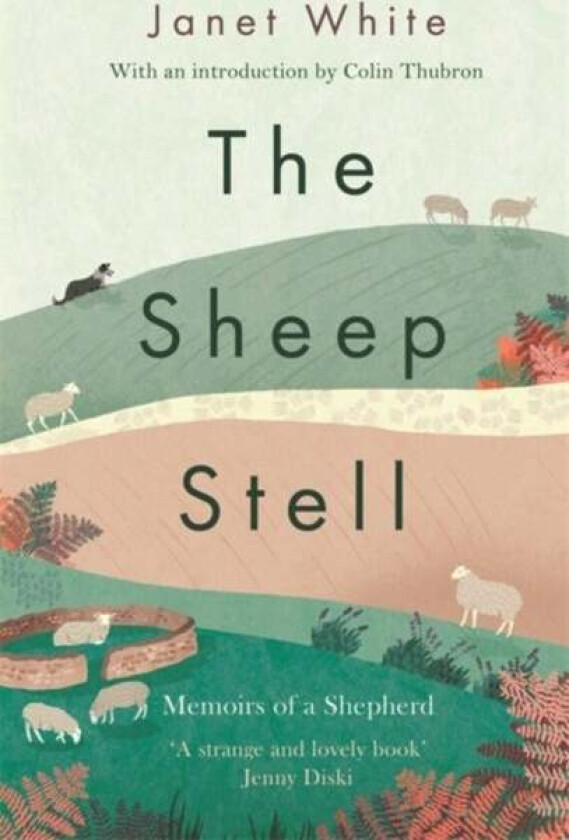 The Sheep Stell av Janet White