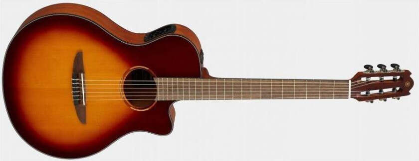 NTX1 Electro Nylon String Brown Sunburst