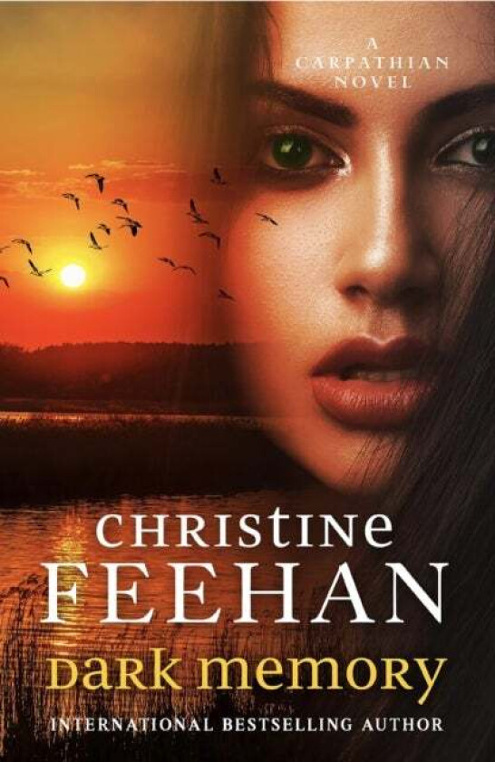 Dark Memory av Christine Feehan