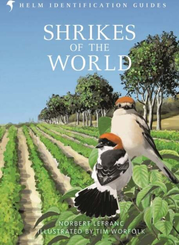 Shrikes of the World av Norbert Lefranc