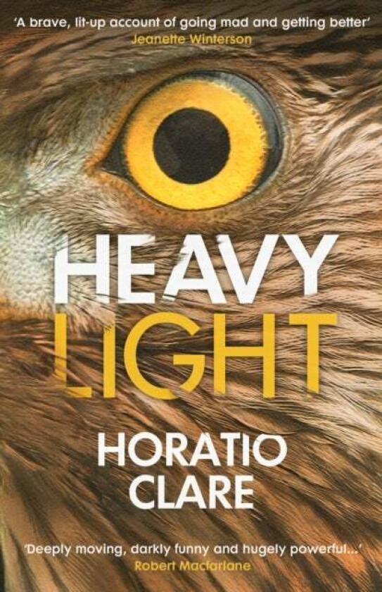 Heavy Light av Horatio Clare