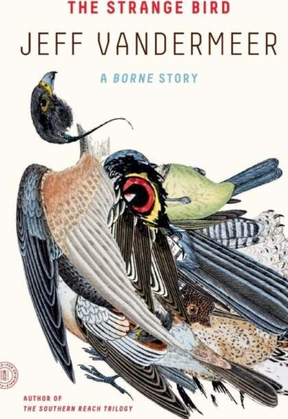 The Strange Bird av Jeff VanderMeer