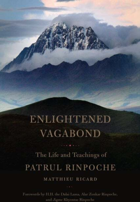 Enlightened Vagabond av Dza Patrul Rinpoche, Matthieu Ricard