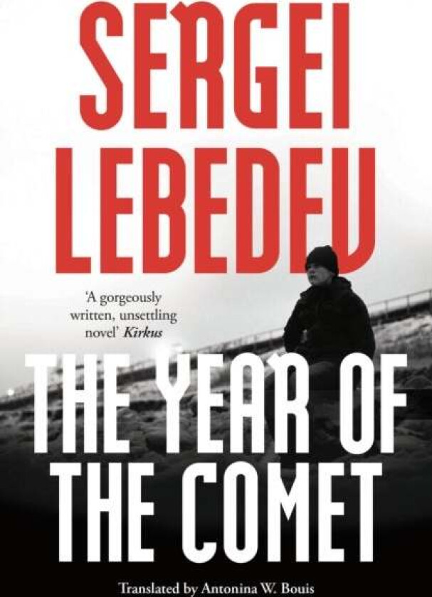 The Year of the Comet av Sergei Lebedev