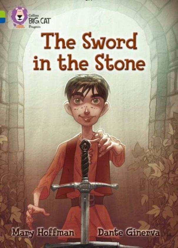 The Sword in the Stone av Mary Hoffman