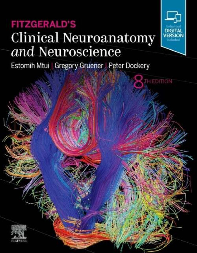 Fitzgerald's Clinical Neuroanatomy and Neuroscience av Estomih (Associate Professor of Clinical Anatomy in Neurology and Neuroscience Director Pr