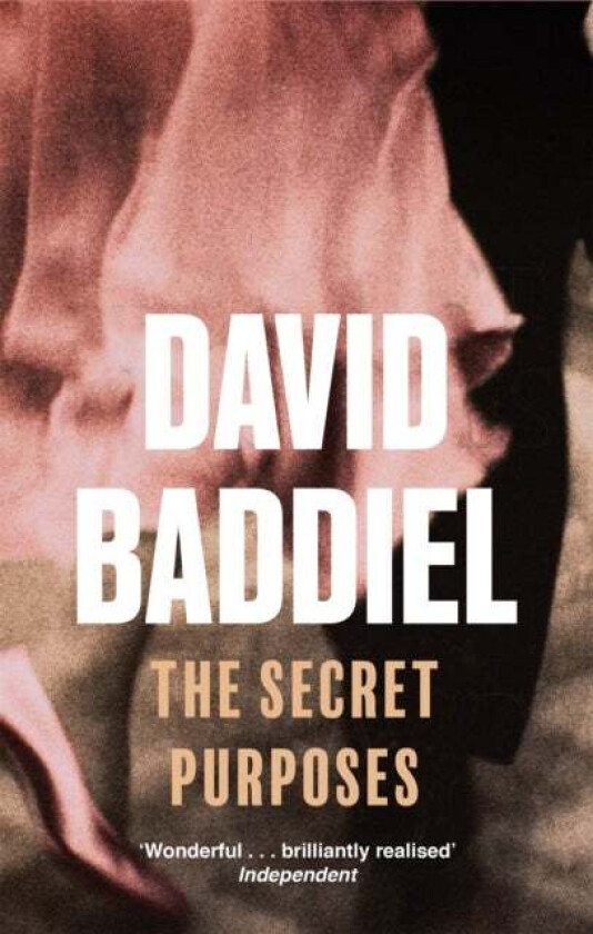 The Secret Purposes av David Baddiel