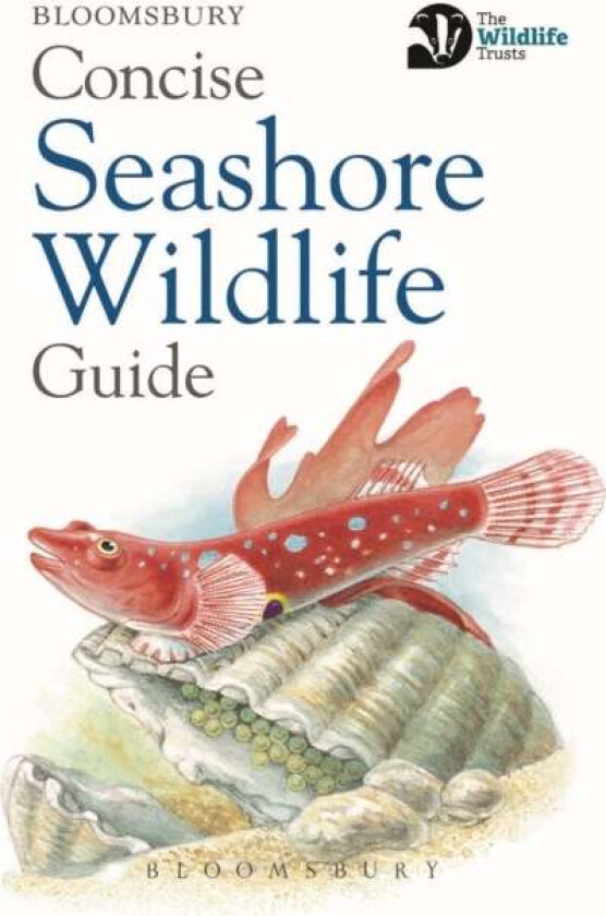 Concise Seashore Wildlife Guide av Bloomsbury