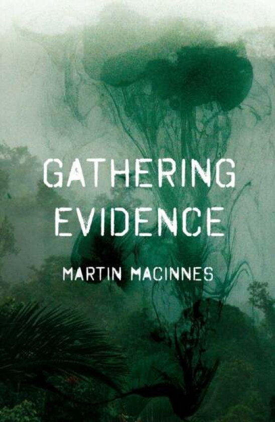 Gathering Evidence av Martin (Author) MacInnes