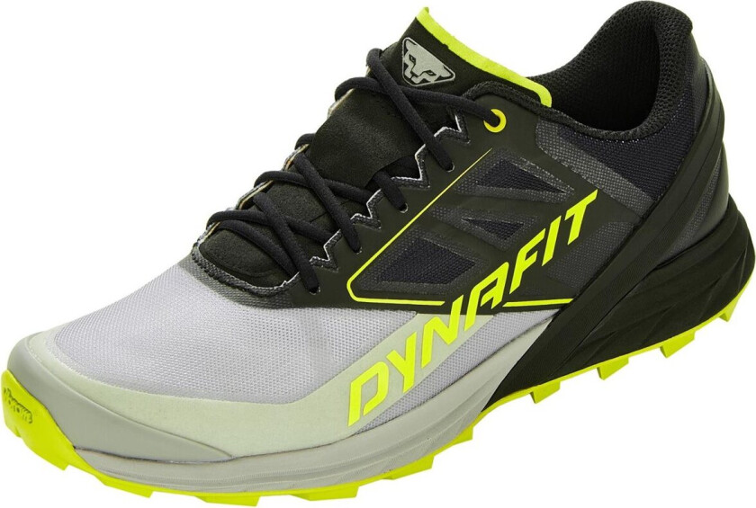 Dynafit Alpine alloy/black out