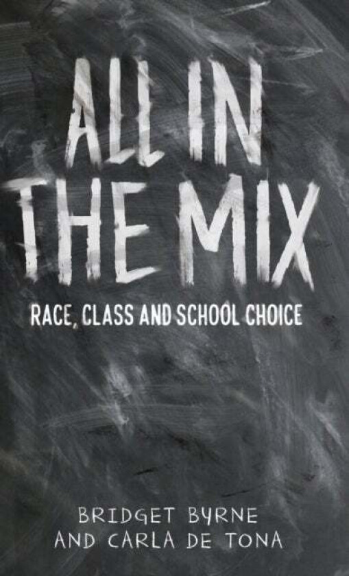 All in the Mix av Professor Bridget Byrne, Carla De Tona
