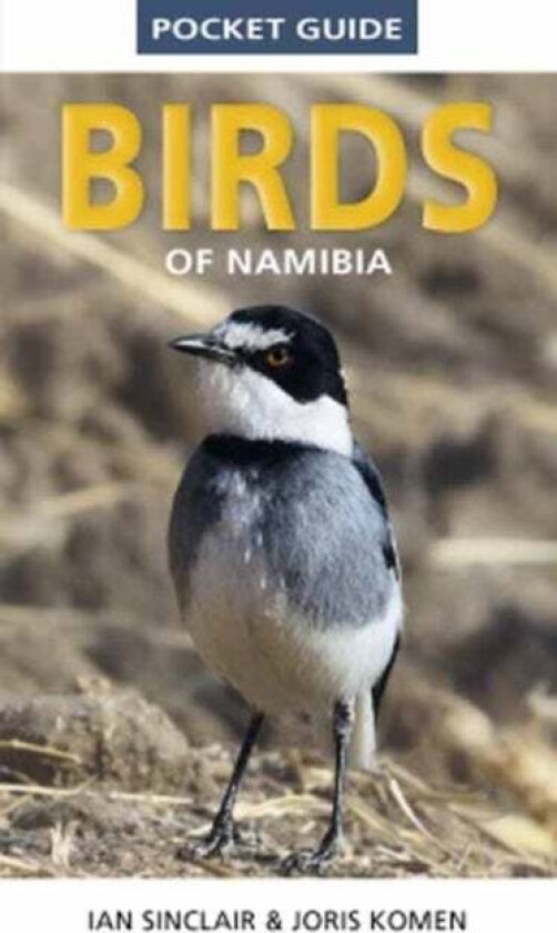 Pocket Guide to Birds of Namibia av Ian Sinclair