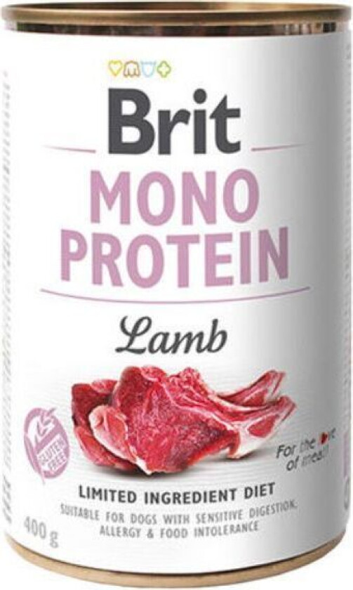 Bilde av Brit Mono Protein Lamb