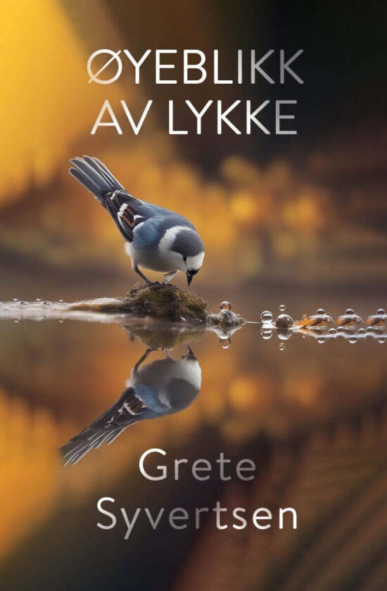 Øyeblikk av lykke av Grete Syvertsen