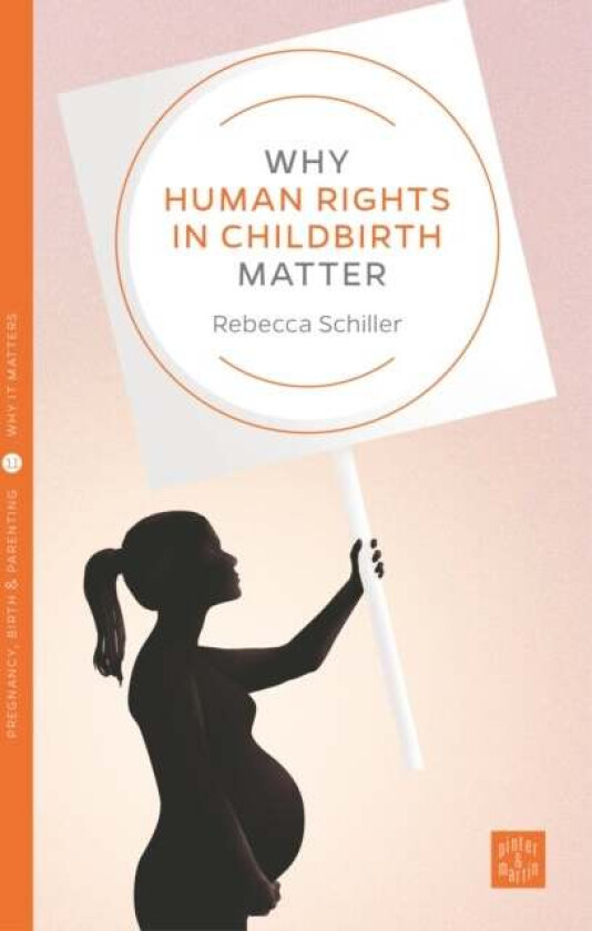 Why Human Rights in Childbirth Matter av Rebecca Schiller