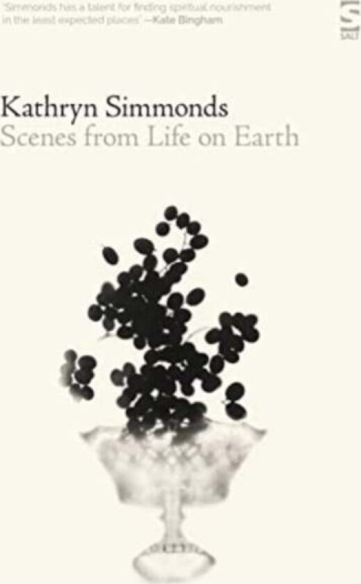 Scenes from Life on Earth av Kathryn Simmonds