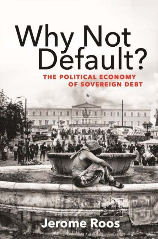 Why Not Default? av Jerome E. Roos