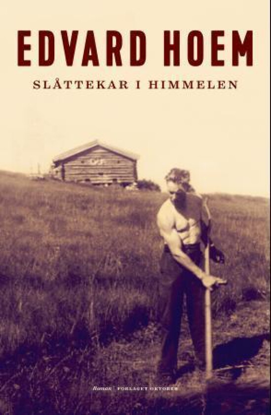 Slåttekar i himmelen av Edvard Hoem