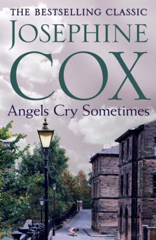 Angels Cry Sometimes av Josephine Cox
