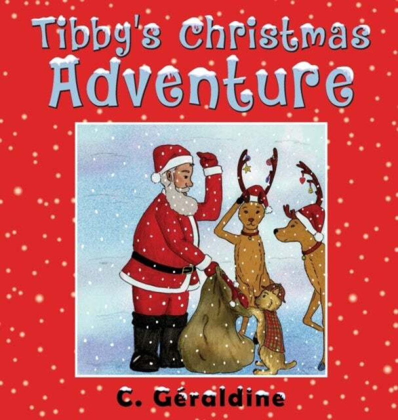 Tibby's Christmas Adventure av C Geraldine