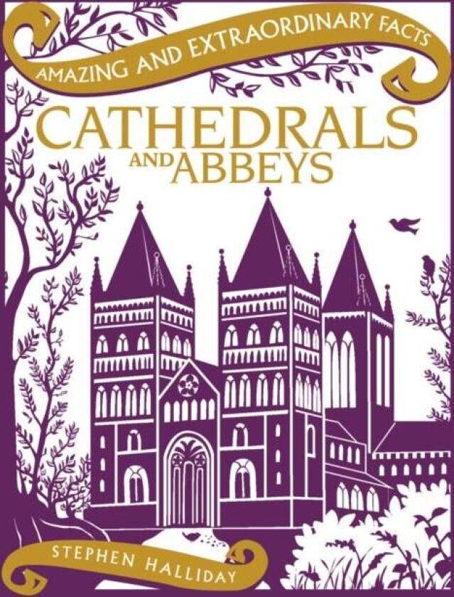 Cathedrals and Abbeys av Stephen Halliday