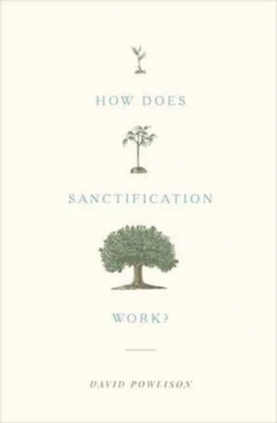 How Does Sanctification Work? av David Powlison