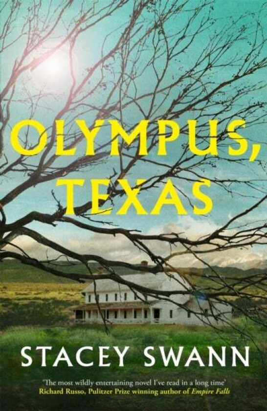 Olympus, Texas av Stacey Swann