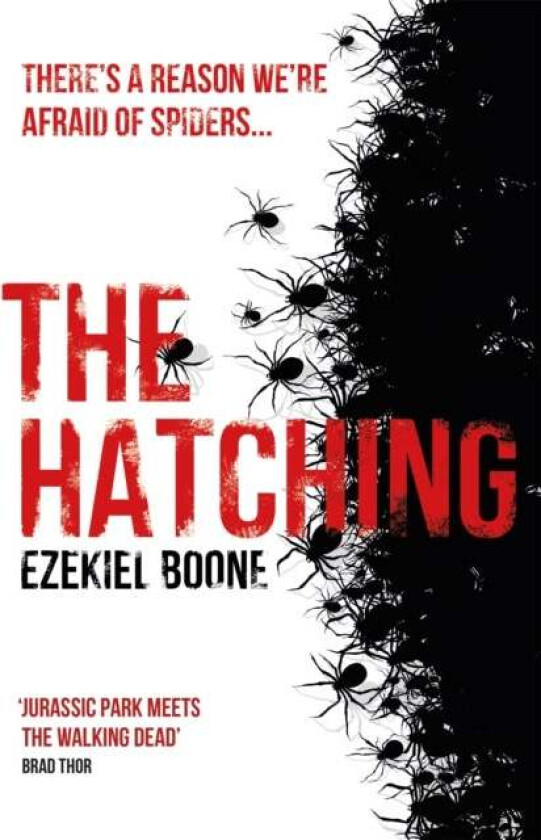 The Hatching av Ezekiel Boone