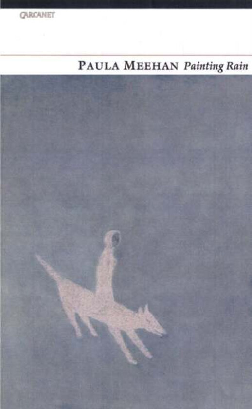 Painting Rain av Paula Meehan