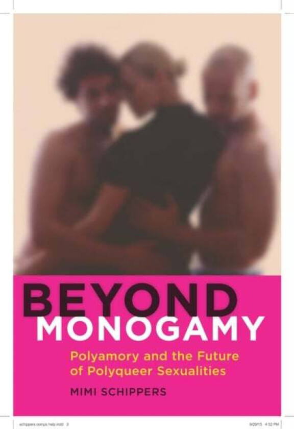Beyond Monogamy av Mimi Schippers