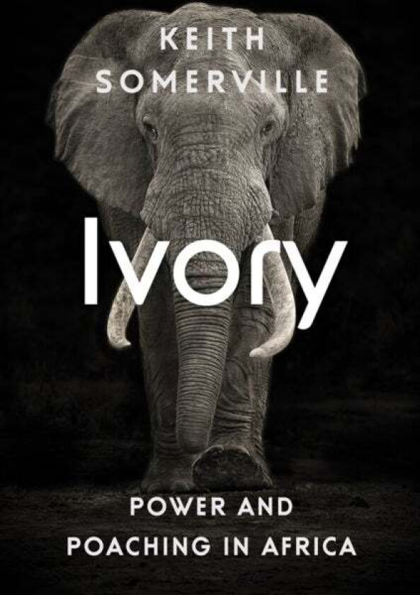 Ivory av Keith Somerville