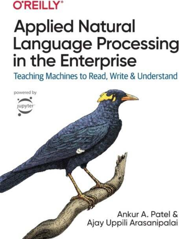 Applied Natural Language Processing in the Enterprise av Ankur Patel, Ajay Arasanipalai