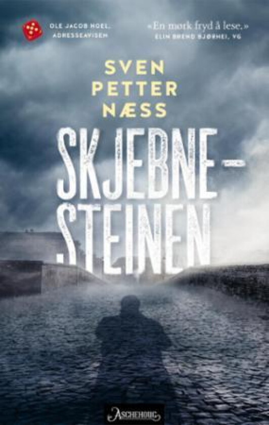 Skjebnesteinen av Sven Petter Næss