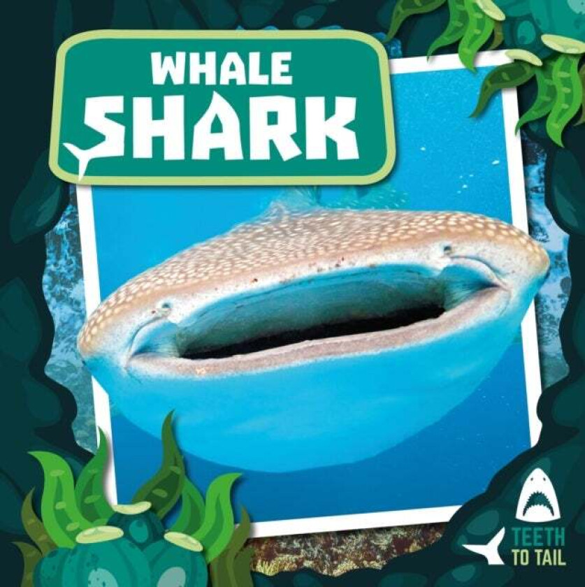 Whale Shark av Robin Twiddy