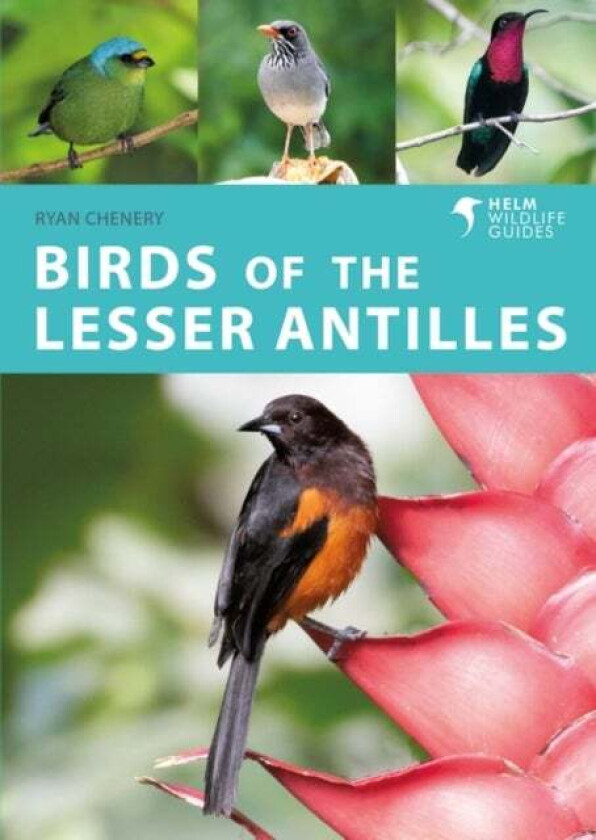 Birds of the Lesser Antilles av Ryan Chenery