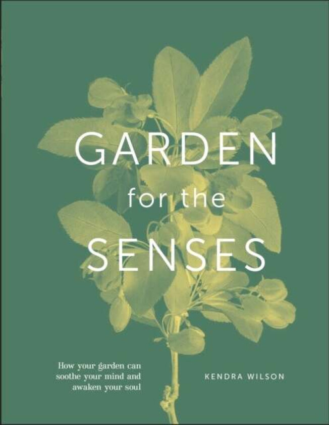 Garden for the Senses av Kendra Wilson