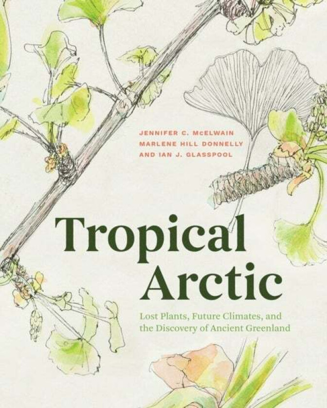 Tropical Arctic av Jennifer McElwain, Hill Donne