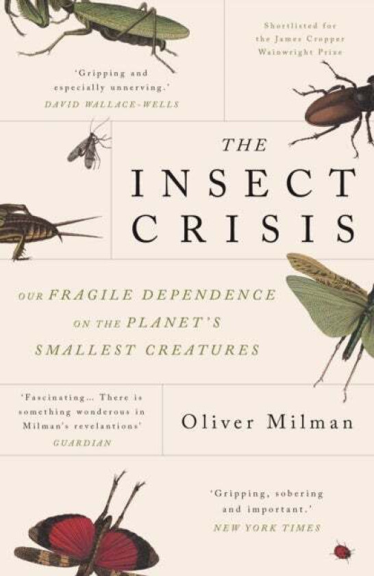 The Insect Crisis av Oliver Milman