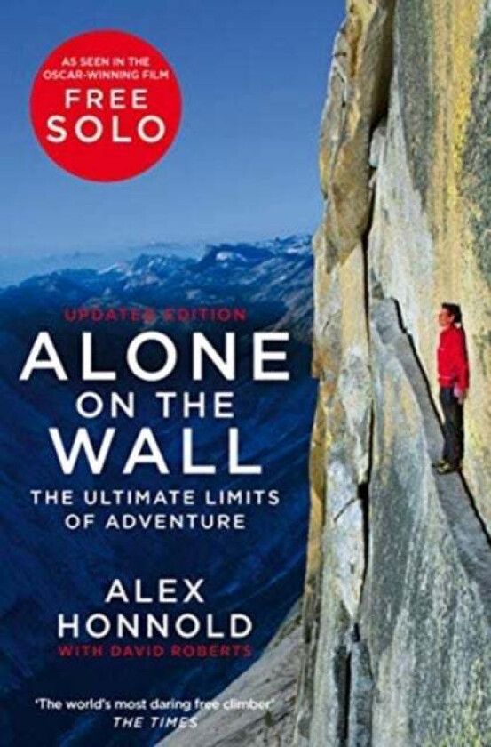 Alone on the Wall av Alex Honnold, David Roberts